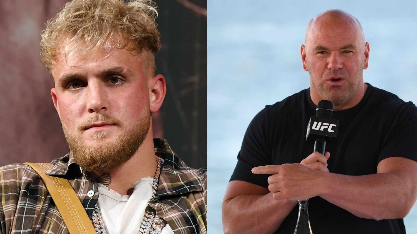 Dana White calls for random steroid tests for Jake Paul in exchange for letting Paul test him for drugs