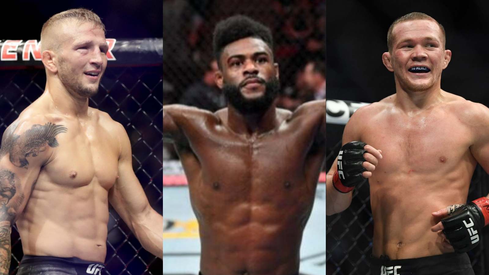 “I’m still getting the dirty rat,” Aljamain Sterling slams troll, reveals shocking detail on Petr Yan and TJ Dillashaw’s 2-year suspension