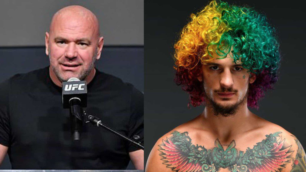 Dana White- Sean O'Malley