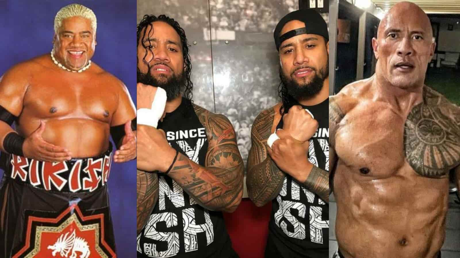 How many Samoan blood relations does Roman Reigns have in WWE?