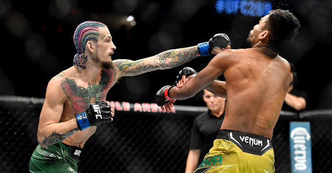 UFC 269: Sean O Malley folds Raulian Paiva with a barrage of punches in the very first round