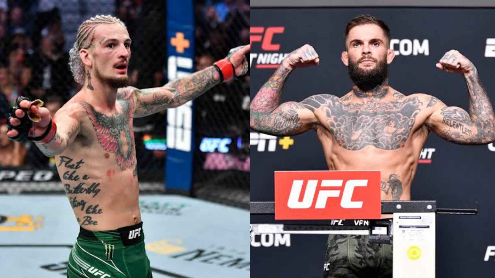 WATCH! Sean O’Malley, Cody Garbrandt, get worked up for an intense face-off in between UFC 269 press conference