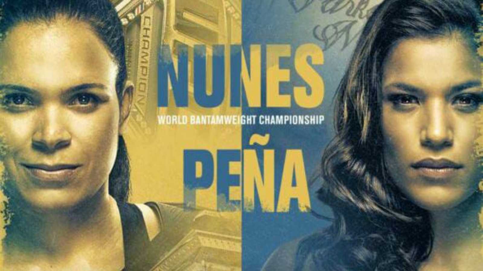 UFC 269: Amanda Nunes vs Julianna Pena Prediction, Odds and Fight Preview