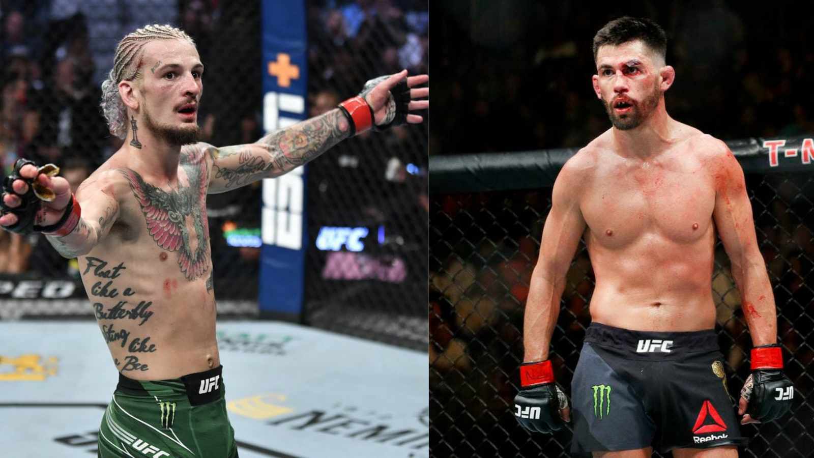 “’Unranked champ’ just seems to make sense,” Sean O Malley describes the reason for fighting on UFC 269 main card and Dominick Cruz fighting in prelims