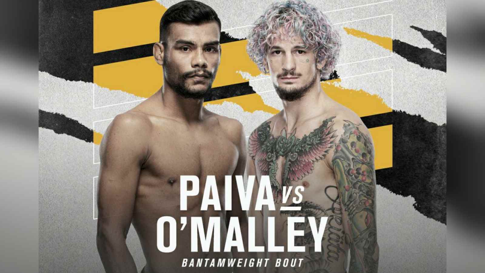 UFC 269: Raulian Paiva vs Sean O Malley Prediction, Odds, and Fight Preview