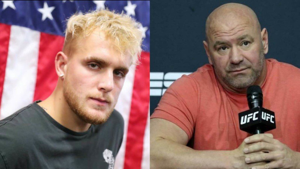 Jake Paul Dana White