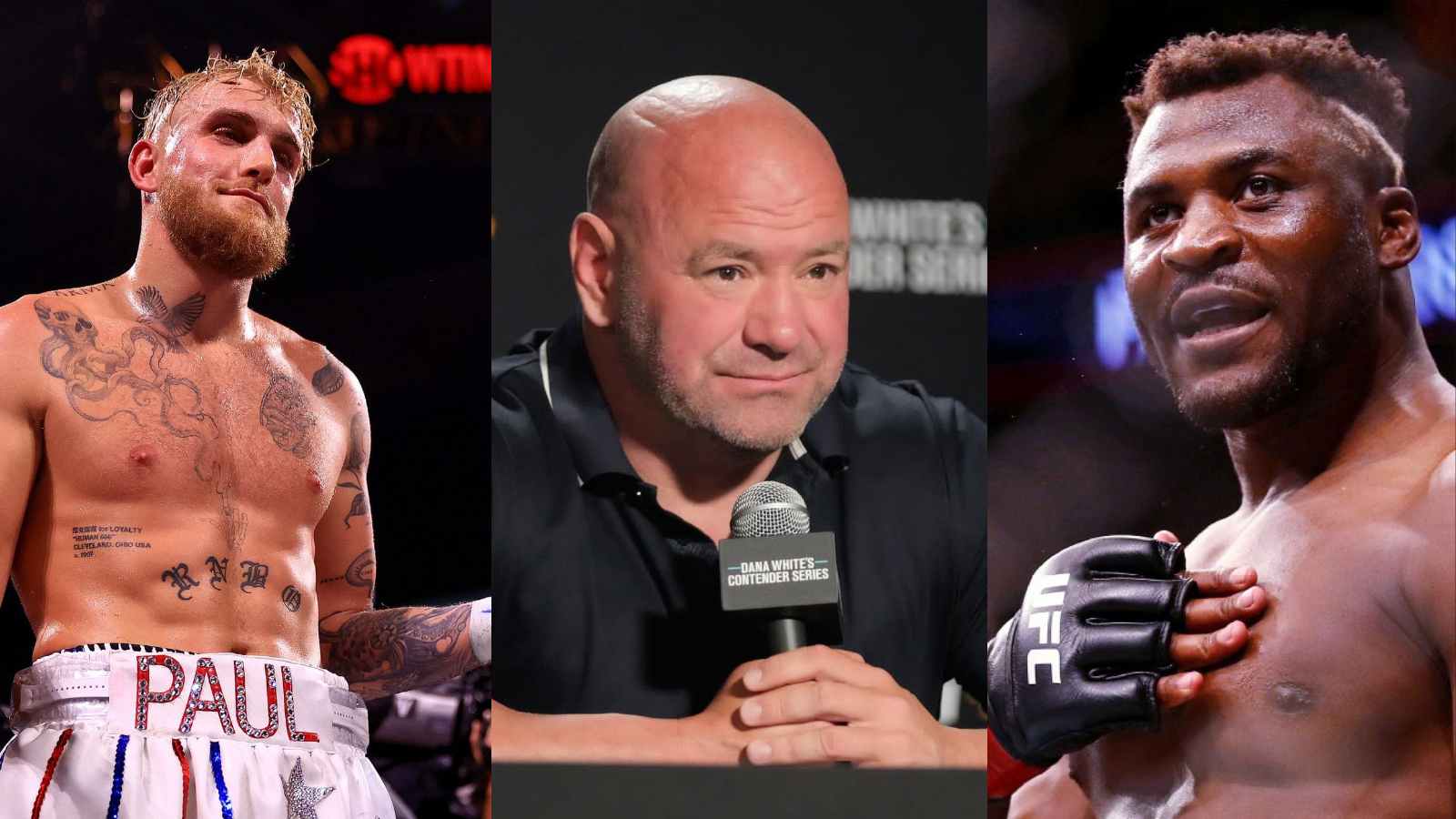 “F**k Dana White”- Jake Paul mounts scathing assessment of the UFC President disrespecting Francis Ngannou and Co.