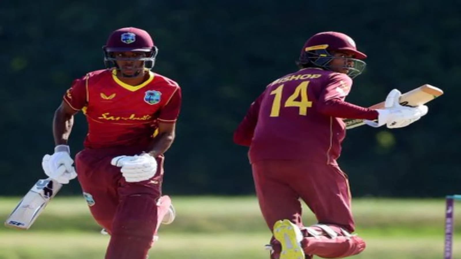 ICC U-19 World Cup Plate Quarter-final:4 WI-U19 vs PNG-U19 Dream11 Prediction, Fantasy Cricket Tips, Playing 11, Pitch Report, and Other Updates