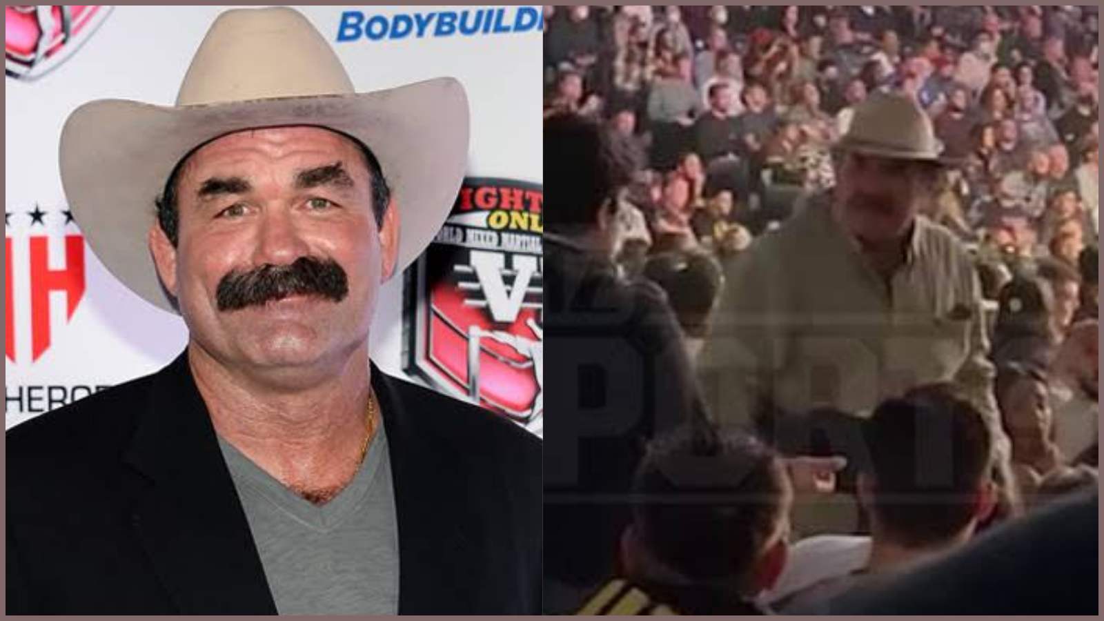 UFC legend Don Frye was caught punching a fan in the arena at UFC 270