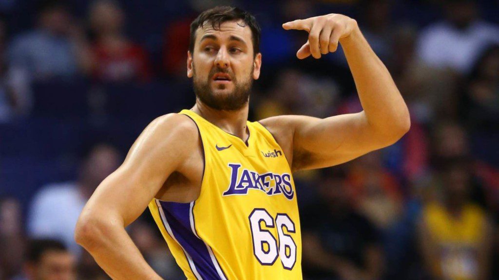 Andrew Bogut