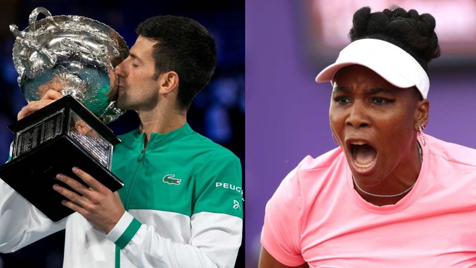 ‘WIN IT ALL!’ Venus Williams backs Novak Djokovic to clinch the 2022 Australian Open title