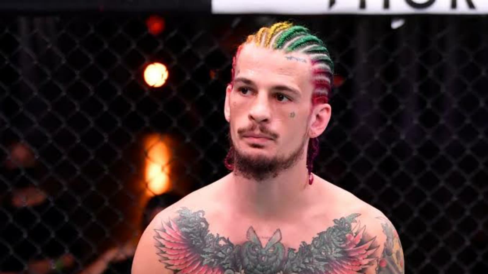 “I can’t fight March 5, it’s too soon,” Sean O’Malley reveals his 2022 schedule, wants “big contract” going into 2023