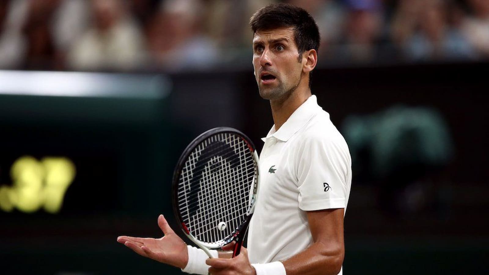 ‘No questions about vaccinations!’ L’Équipe journalist reveals SHOCKING details about his interview with Novak Djokovic when the World No.1 was COVID positive