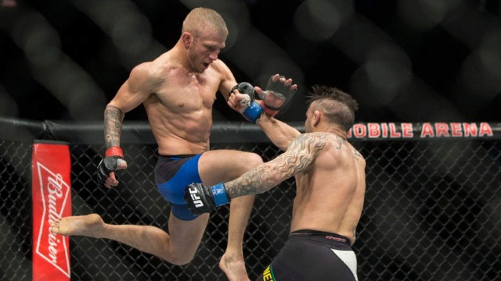 “I kneed to get back in there”- TJ Dillashaw offers an update on his injury status