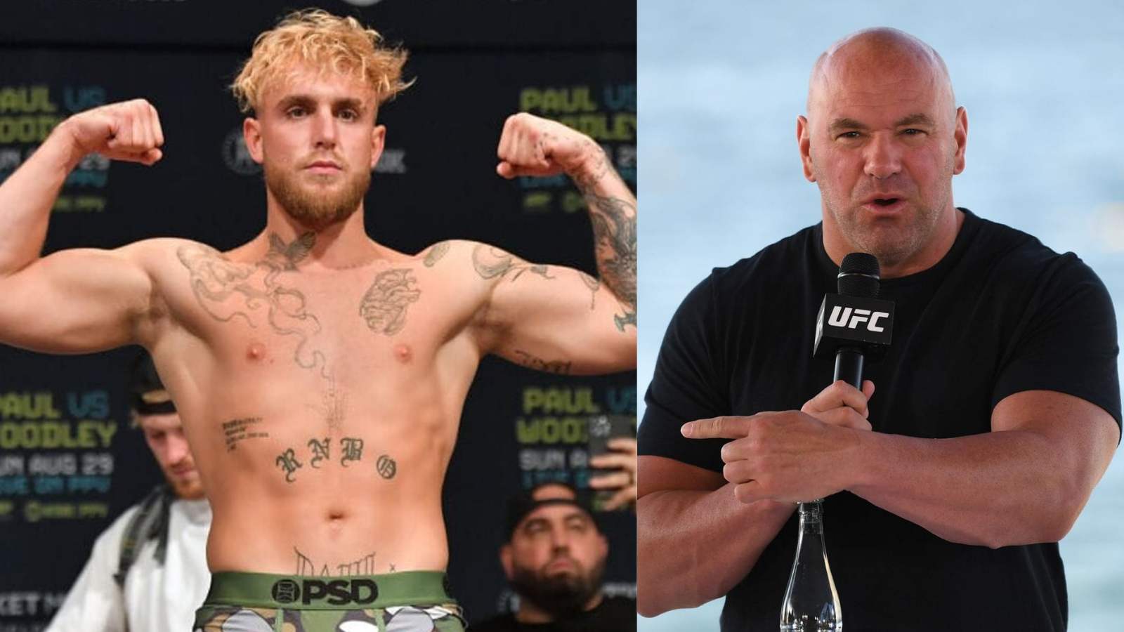 “You are a jacka*** Sandhu” – Dana White shuts down top MMA Journo persuading him to fight Jake Paul