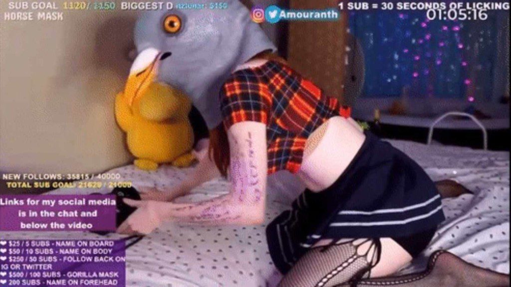 Amouranth pigeon head