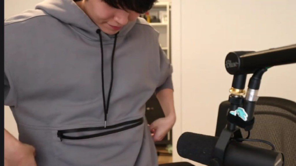 The Disguised Toast hoodie