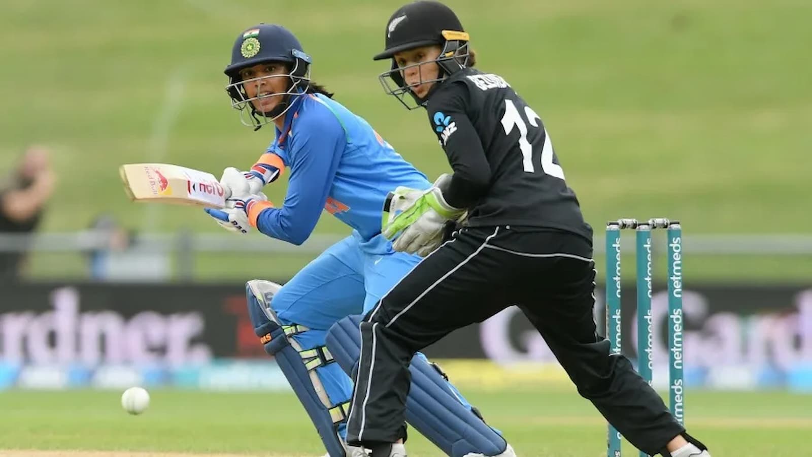 India Women Tour of New Zealand, NZ-W vs IN-W Dream11 Prediction, Fantasy Cricket Tips, Playing 11, Pitch Report, and Other Updates