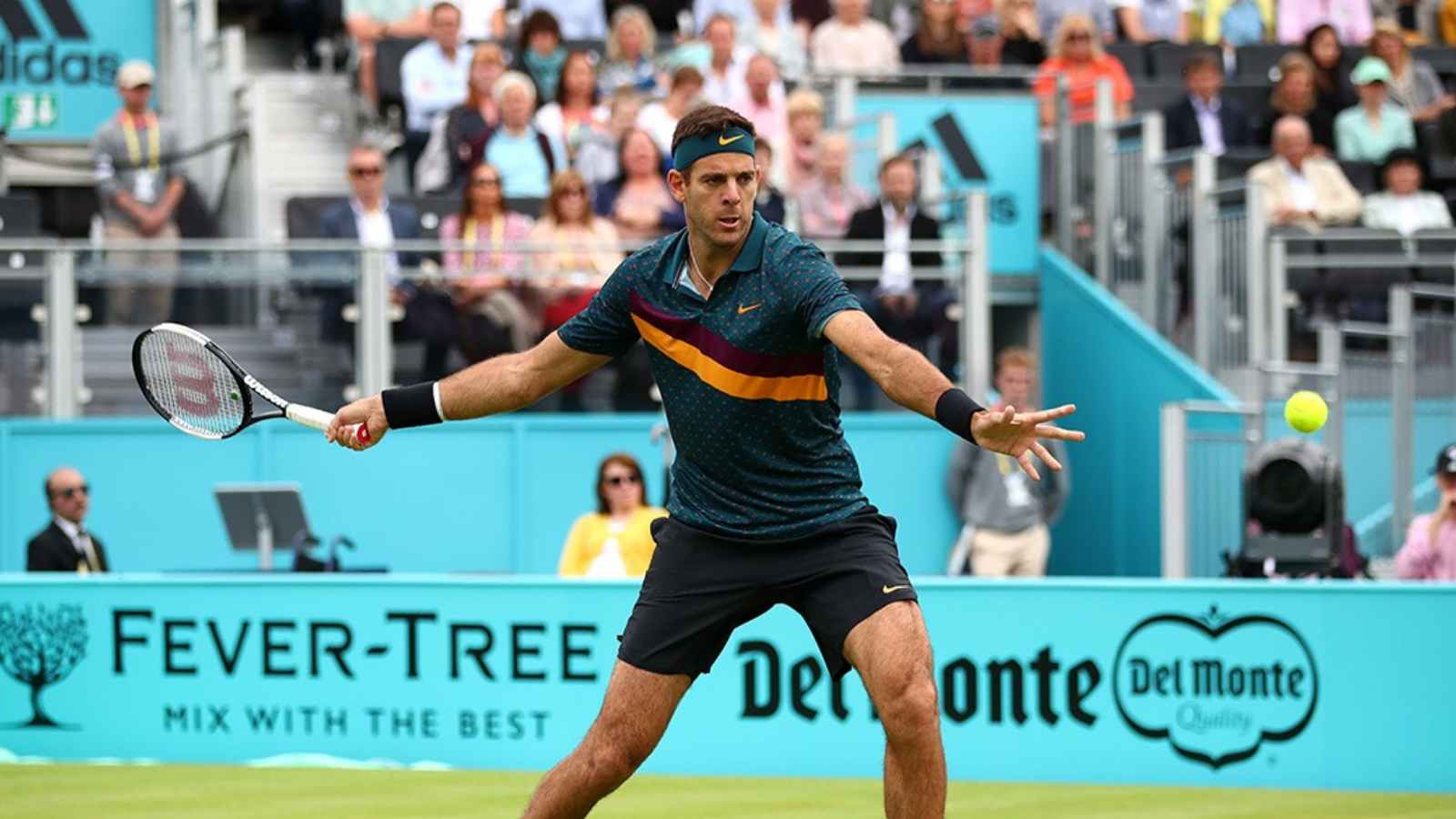 ‘I’d give my knees to see him play!’ Fans left awestruck as Juan Martin del Potro hits EXQUISITE forehand ahead of his comeback match