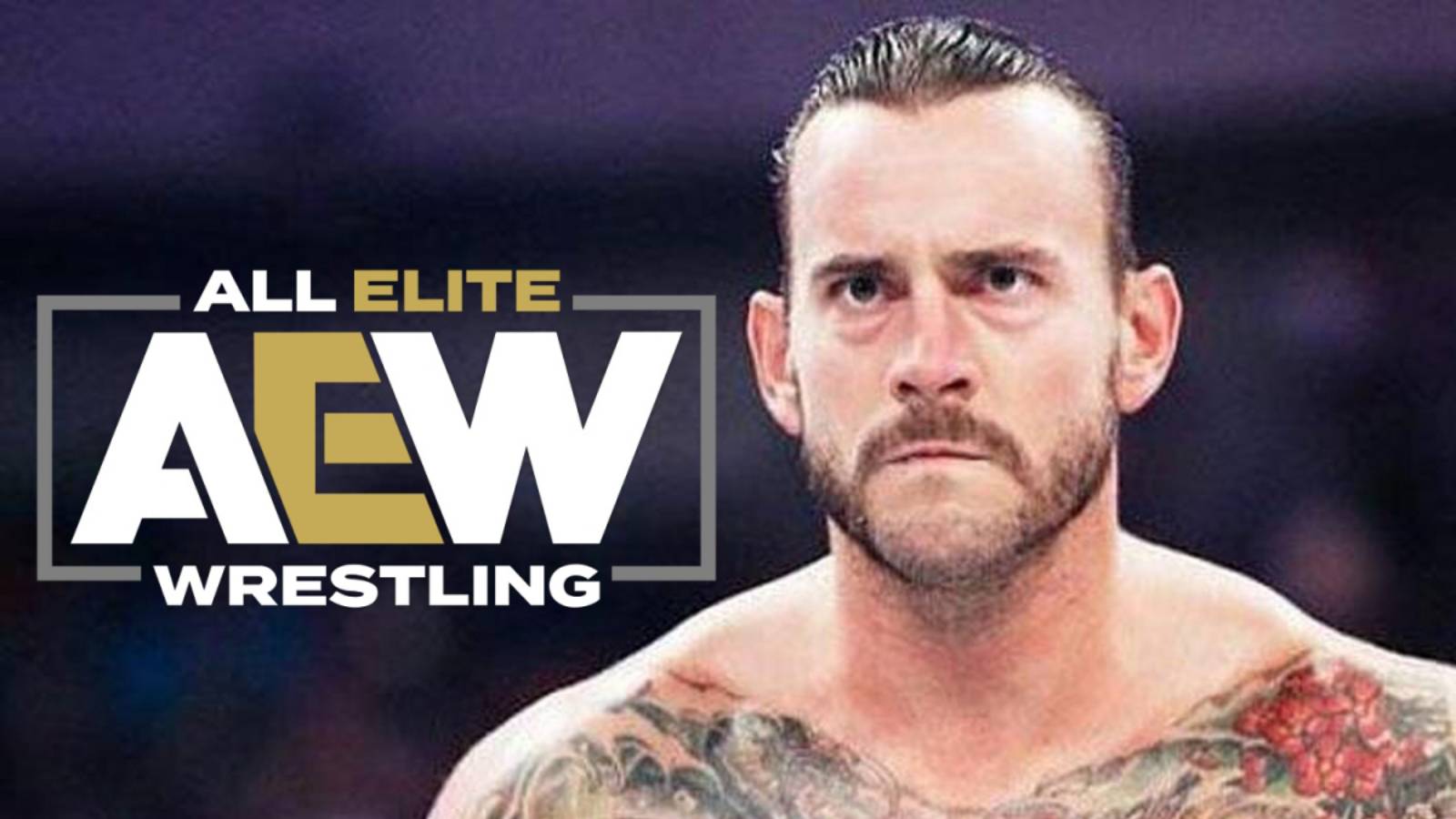 “I’m still struggling” CM Punk breaks silence after being back in professional wrestling