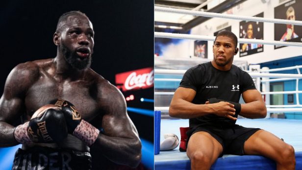 Deontay Wilder(L), Anthony Joshua(R)