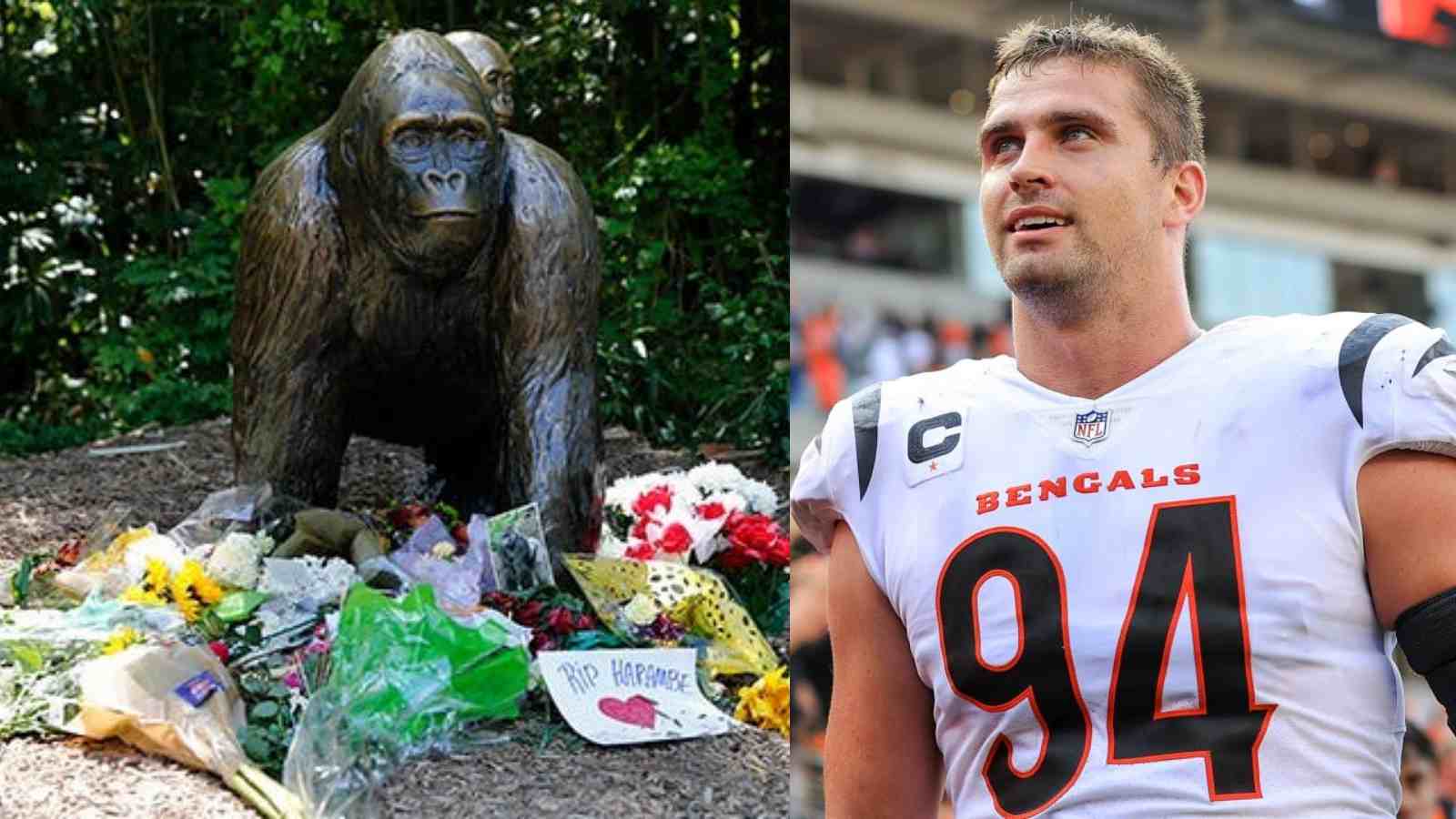 “We’re doing this for him” – Sam Hubbard says Cincinnati Bengals want to win the Super Bowl to honor ‘Harambe’