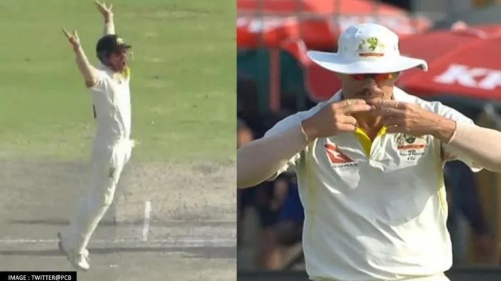 [Watch] – David Warner hilariously imitates Hasan Ali’s celebration after the latter gets out