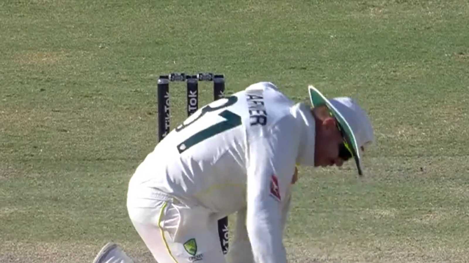 “I wish he would do this more around the house” – Candice takes a hilarious dig at David Warner for hammering in the uneven surfacing of the pitch