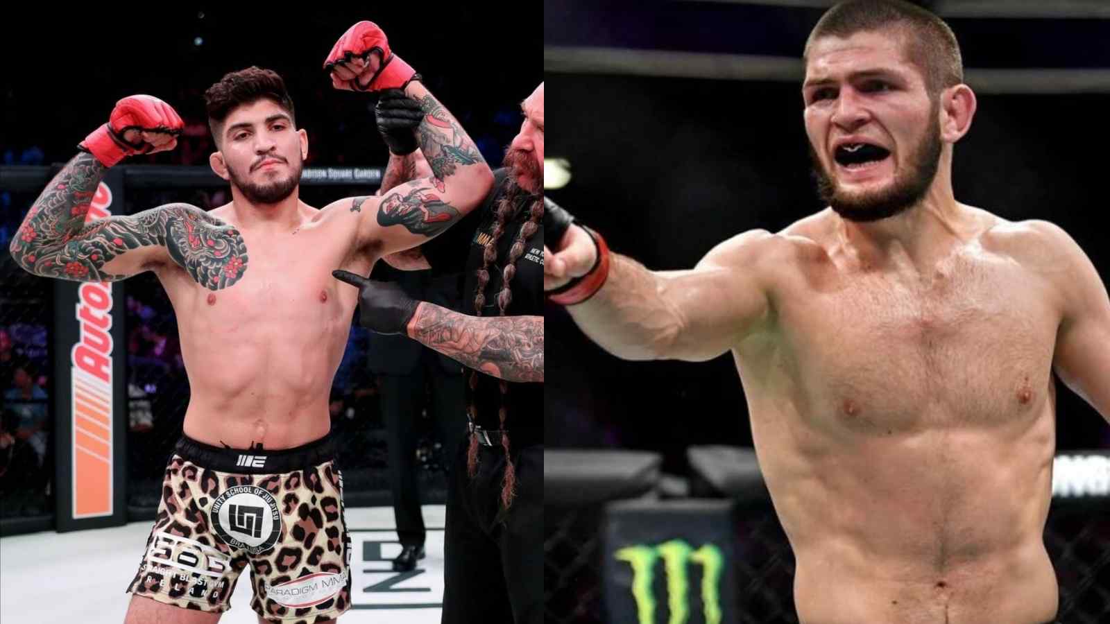 Dillon Danis trains his aim at Khabib Nurmagomedov for his previous comments about ring girls