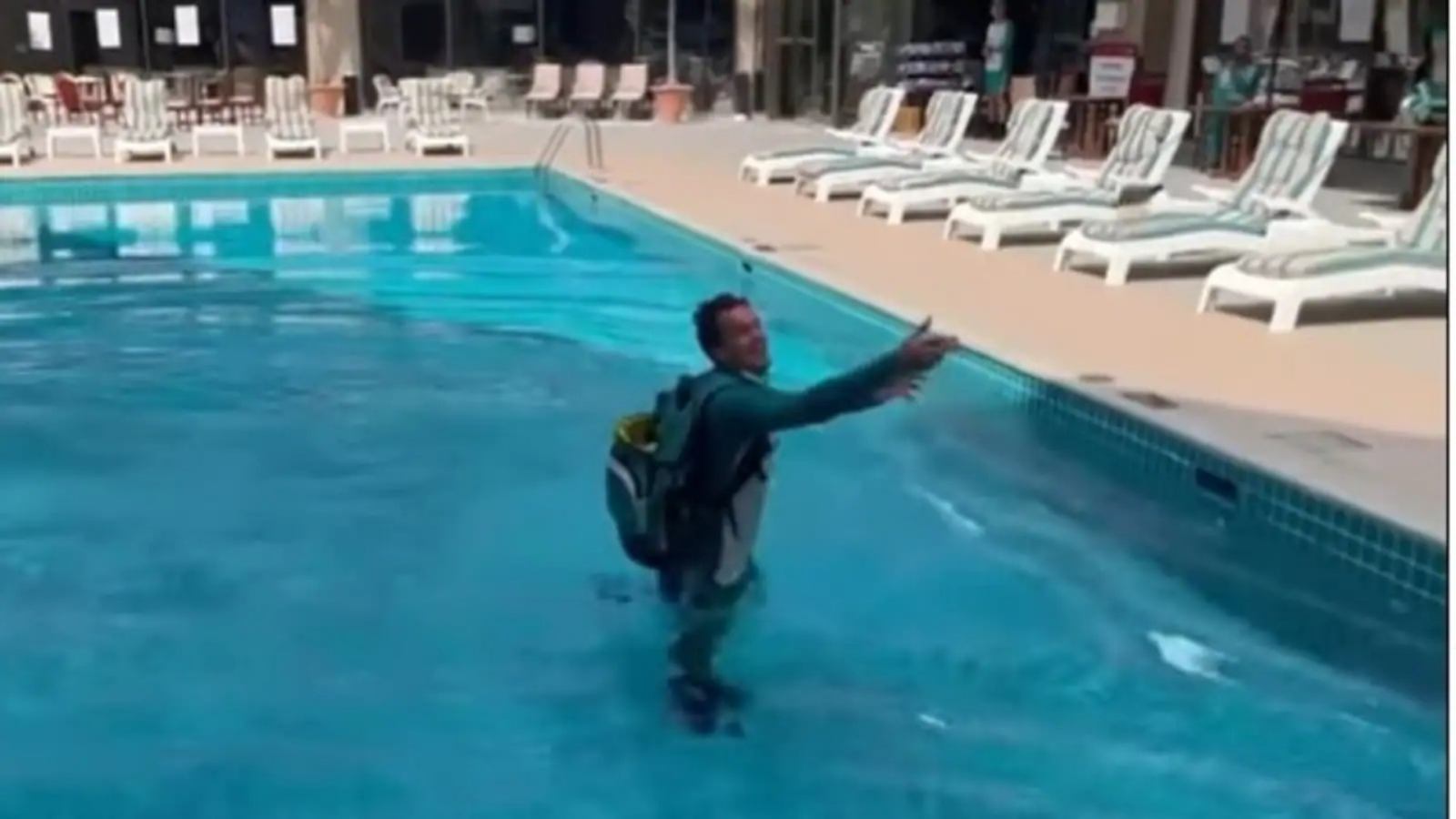 Watch: Pat Cummins shares a hilarious video as Alex Carey accidentally falls into the swimming pool