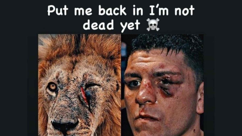 Nick Diaz's Instagram story