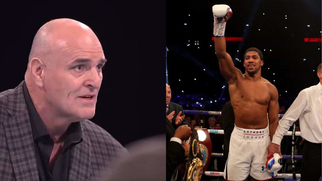 John Fury & Anthony Joshua