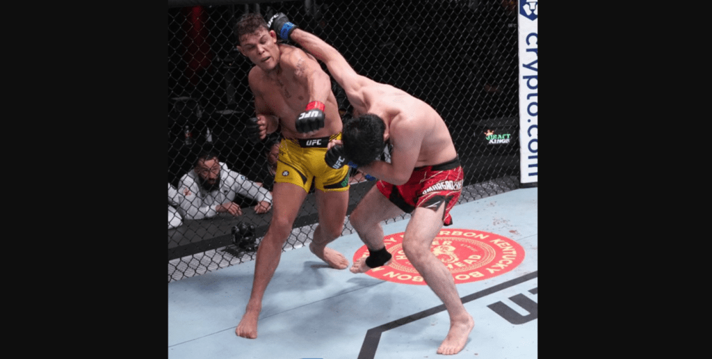 Caio Borralho vs Gadzhi Omargadzhiev