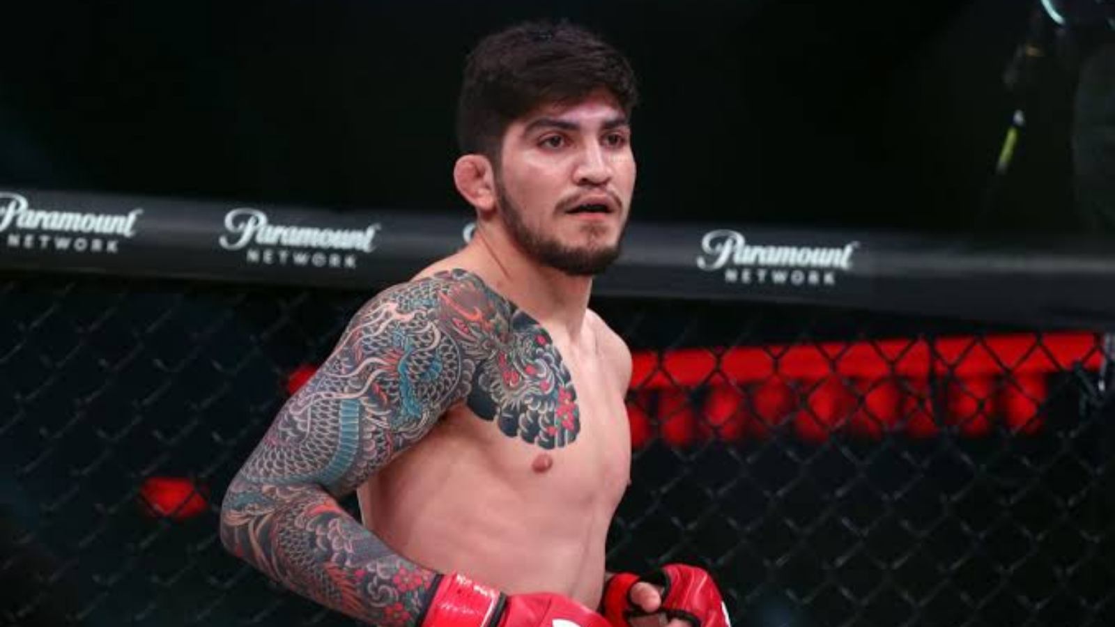 “I’m ready”- Dillon Danis offers a cryptic update on his potential return to active contention