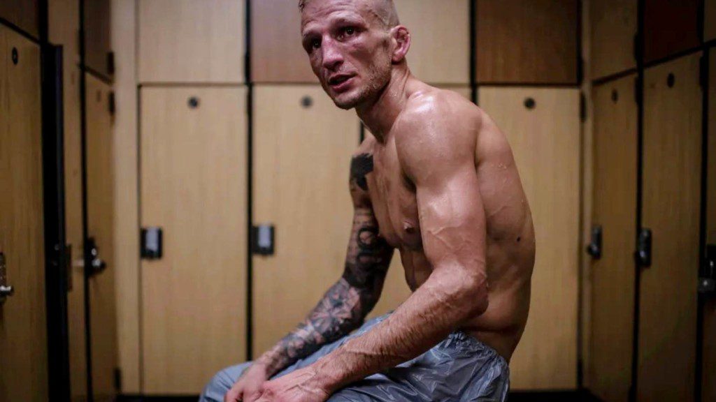 TJ Dillashaw