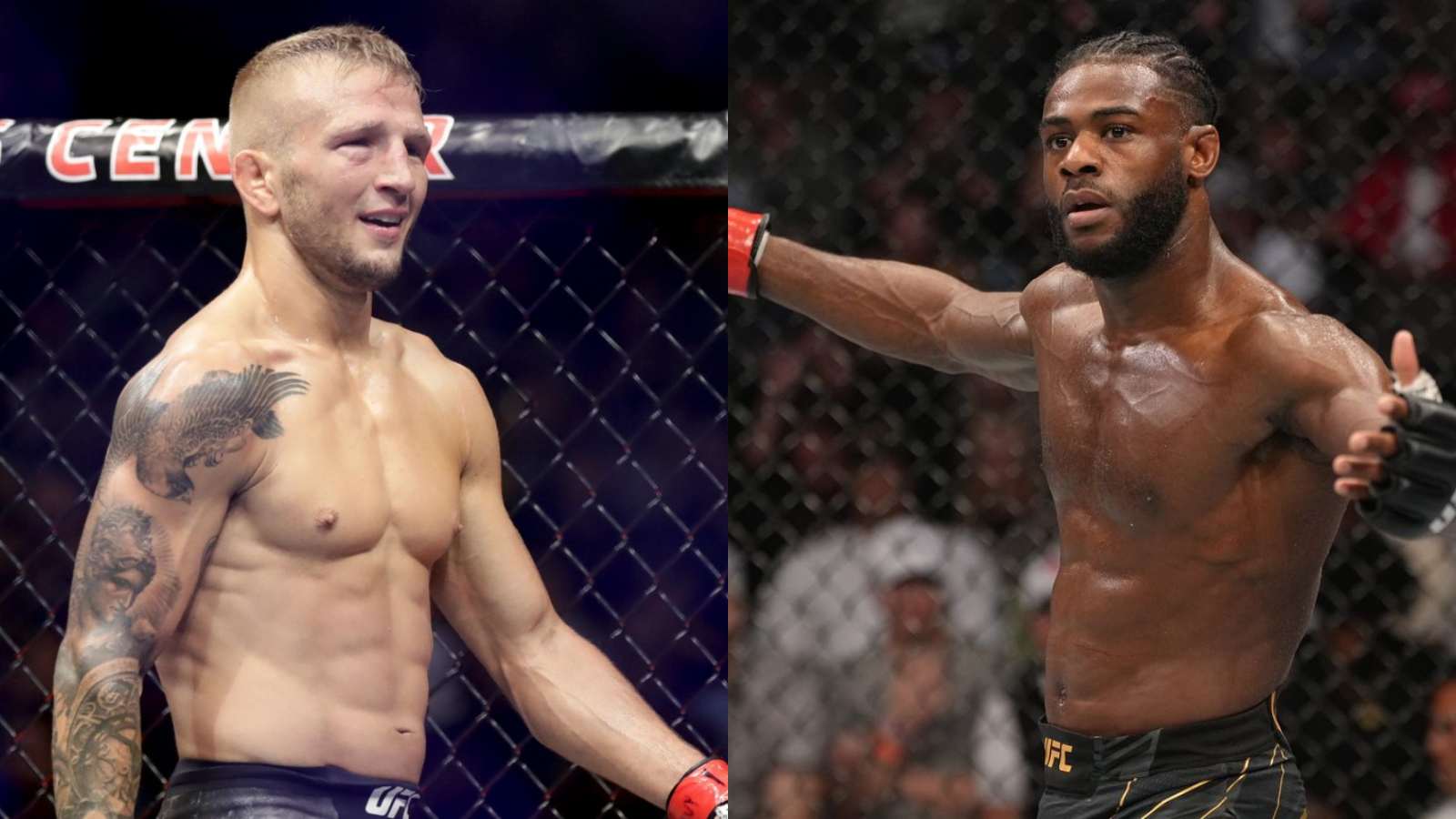 “Doesn’t pack a punch”- TJ Dillashaw dismisses Aljamain Sterling as a threat in a potential fight