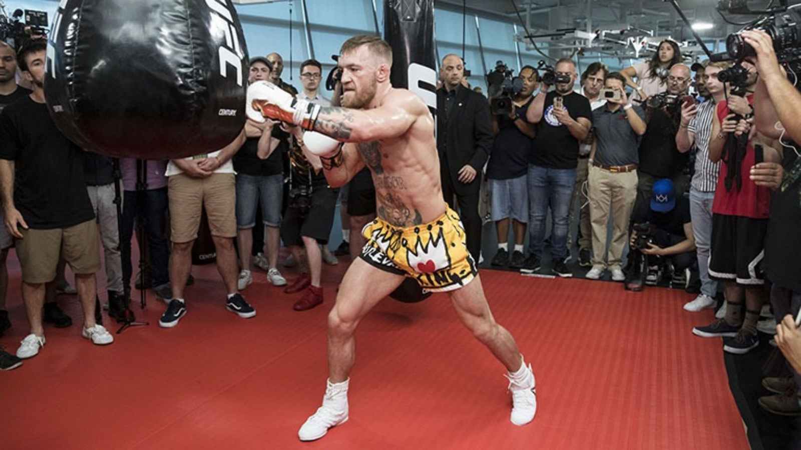 Watch: Conor McGregor cracks the pads while showing off devastating power