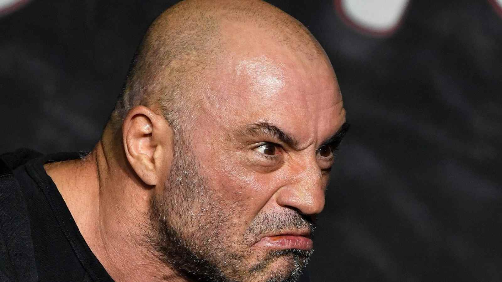 “Lot of f***ing crazy people” – Joe Rogan goes off on LGBT-friendly teachers taking advantage of kids