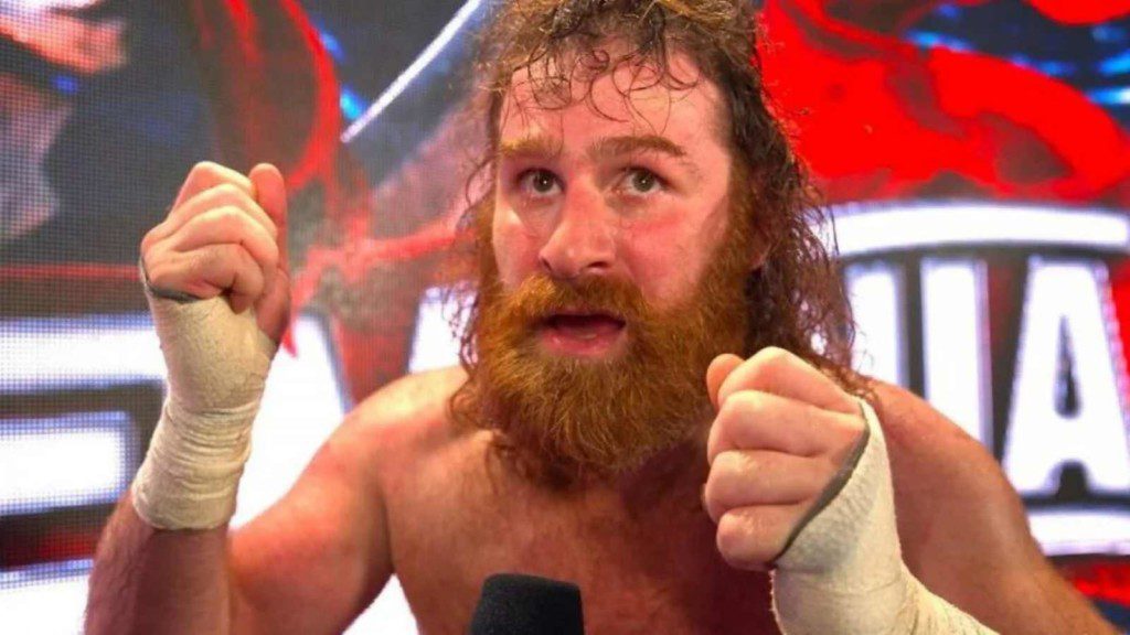 Sami Zayn is the one the niftiest and most underrated performer of the WWE at the moment.