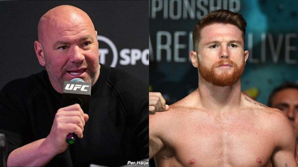 Dana White on Canelo Alvarez