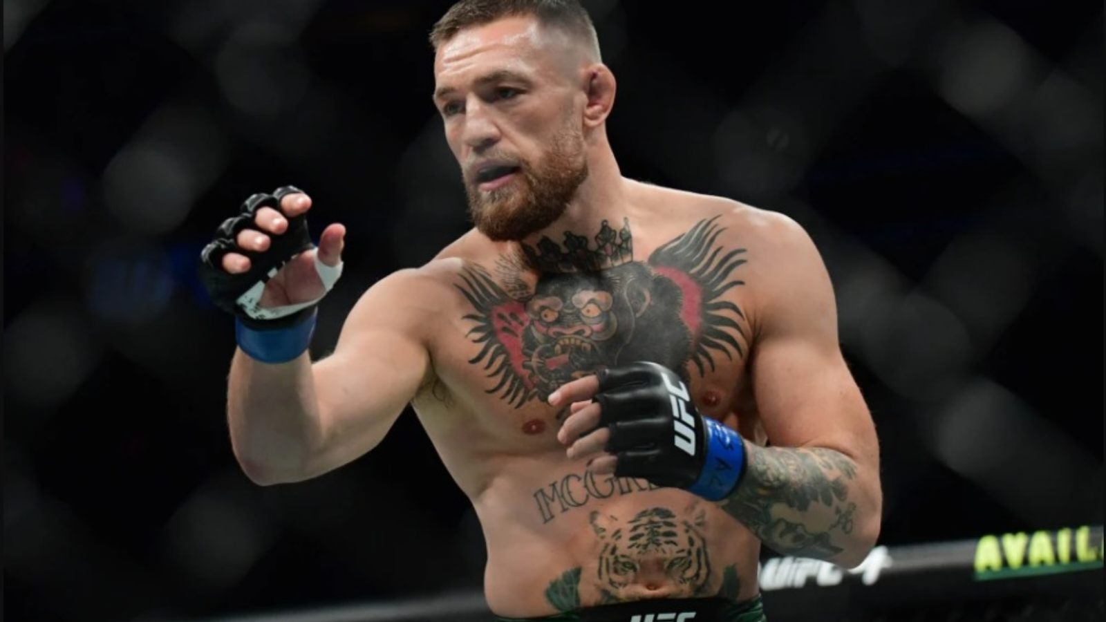 “Jake will rock dat jaw”- Fans brutally troll Conor McGregor as he releases a brand new training footage