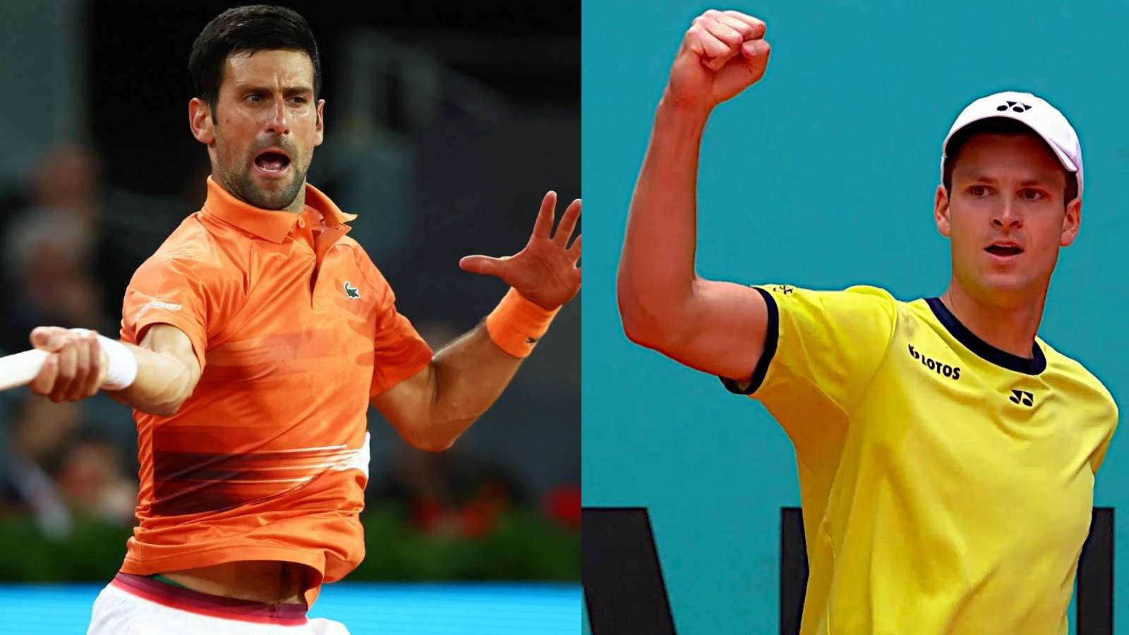 ATP Madrid Open 2022: Novak Djokovic vs Hubert Hurkacz Prediction, Head to Head, Preview, and Live Stream details