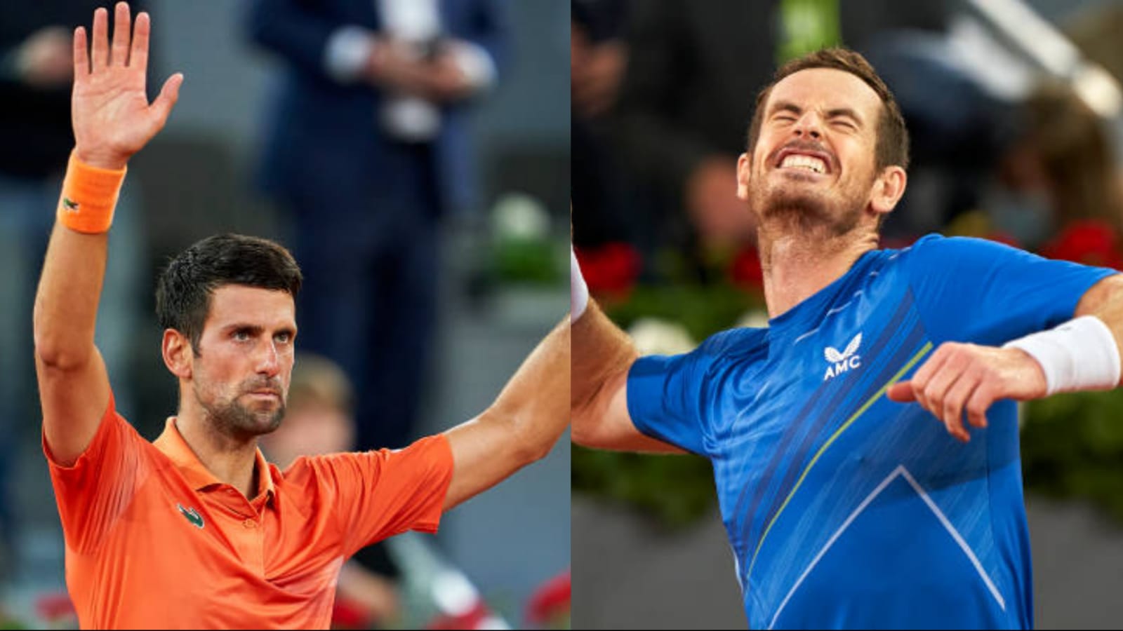 ATP Madrid Open 2022: Novak Djokovic vs Andy Murray Prediction, Head to Head, Preview, and Live Stream details