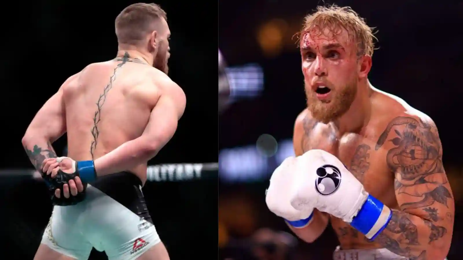 “This is not Fake-Youtube Boxing” Fans brutally troll Jake Paul as he responds to Conor McGregor’s Twitter callout