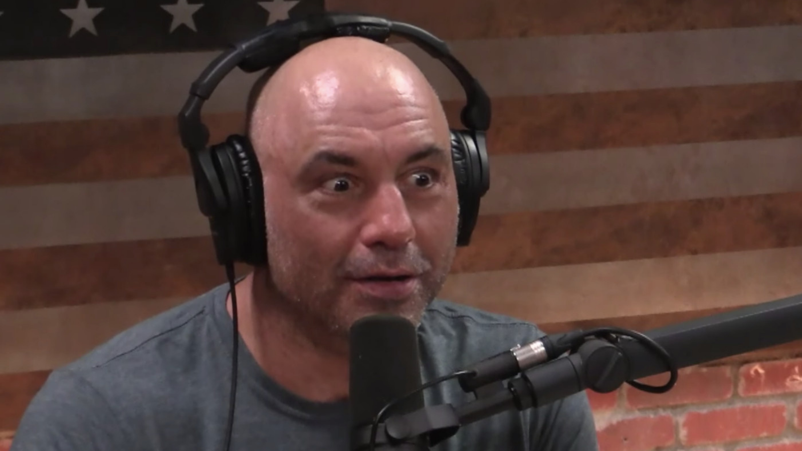 “Why is it hard to get a drivers license? “- Joe Rogan questions why it is so convenient to get a gun license ￼