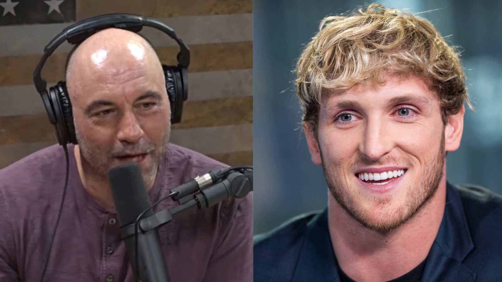 “He makes sh*tload of money” – Joe Rogan claims Logan Paul makes more money on YouTube than popular sitcom star