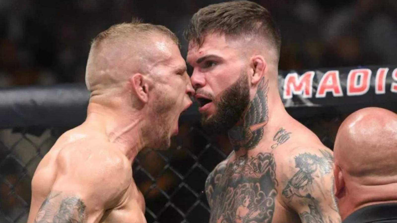 “Your chin is not there”- TJ Dillashaw criticizes Cody Garbrandt for essentially throwing away his career because of his ignorance