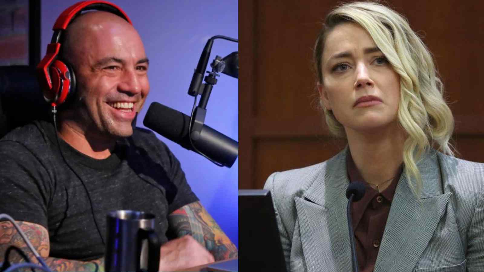 “She should live in the jungle” Joe Rogan gives his final thoughts on the Johnny Depp vs Amber Heard trial