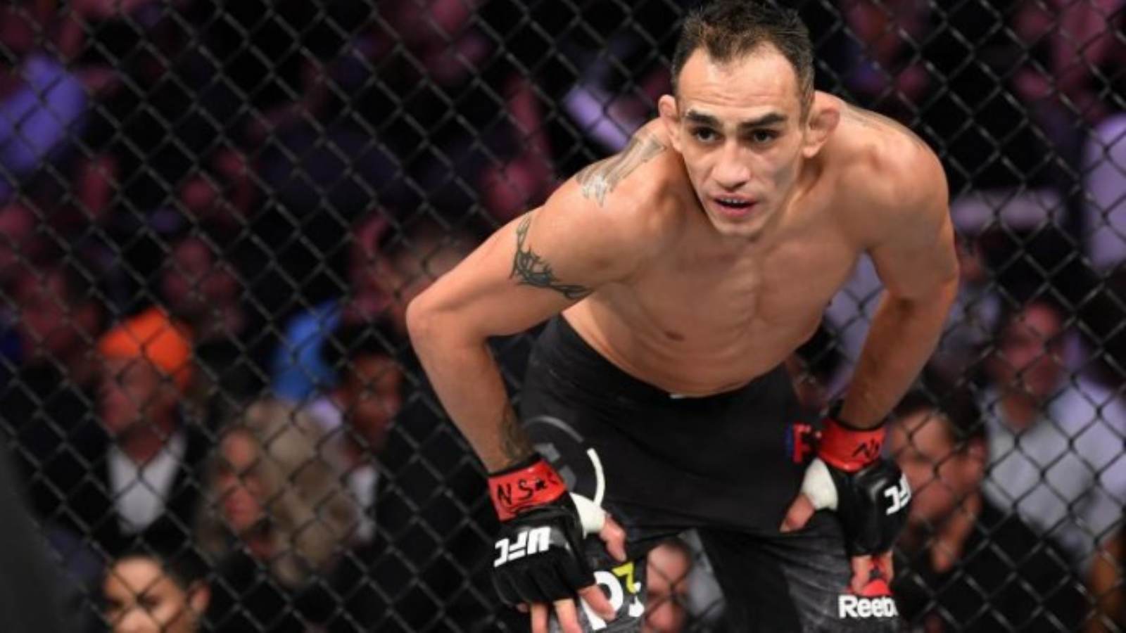 Tony Ferguson entrance song – The song “El Cucuy” will walk out to at UFC 279