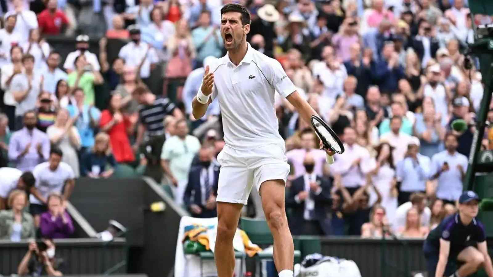 Novak Djokovic’s path to the 7th Wimbledon title: Likely clashes with Carlos Alcaraz and Rafael Nadal on the way to glory